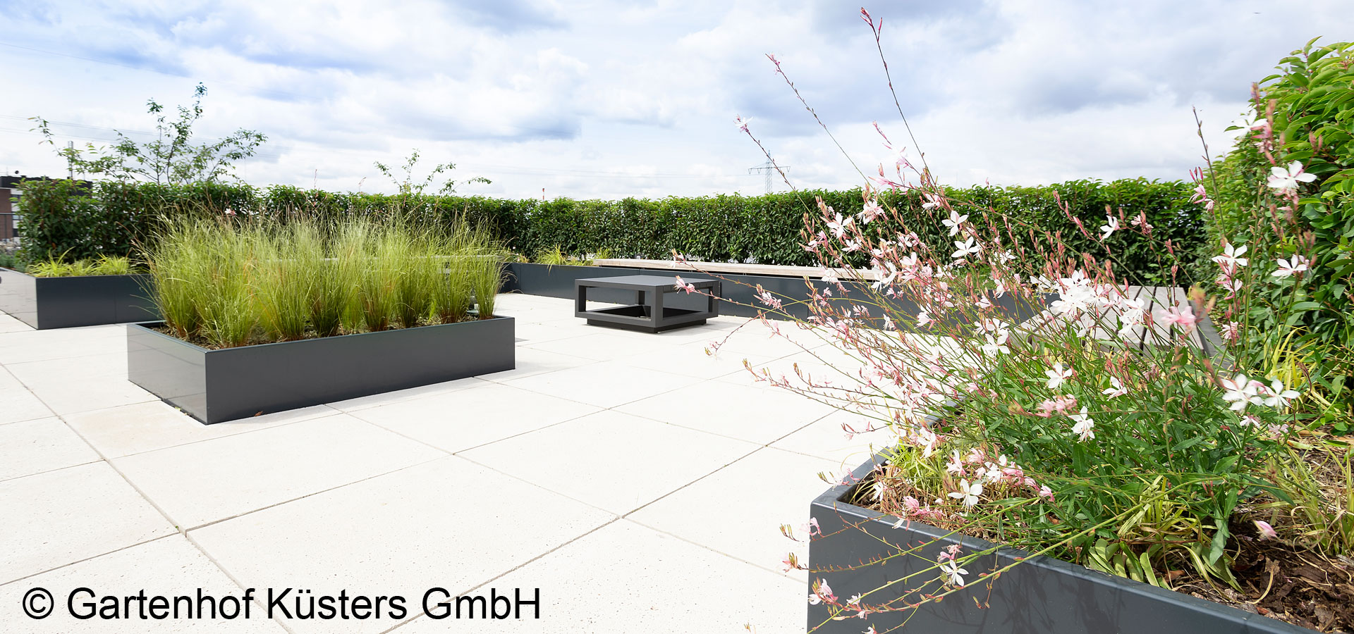 Gartenhof K�sters - Dachbegr�nung K�ln