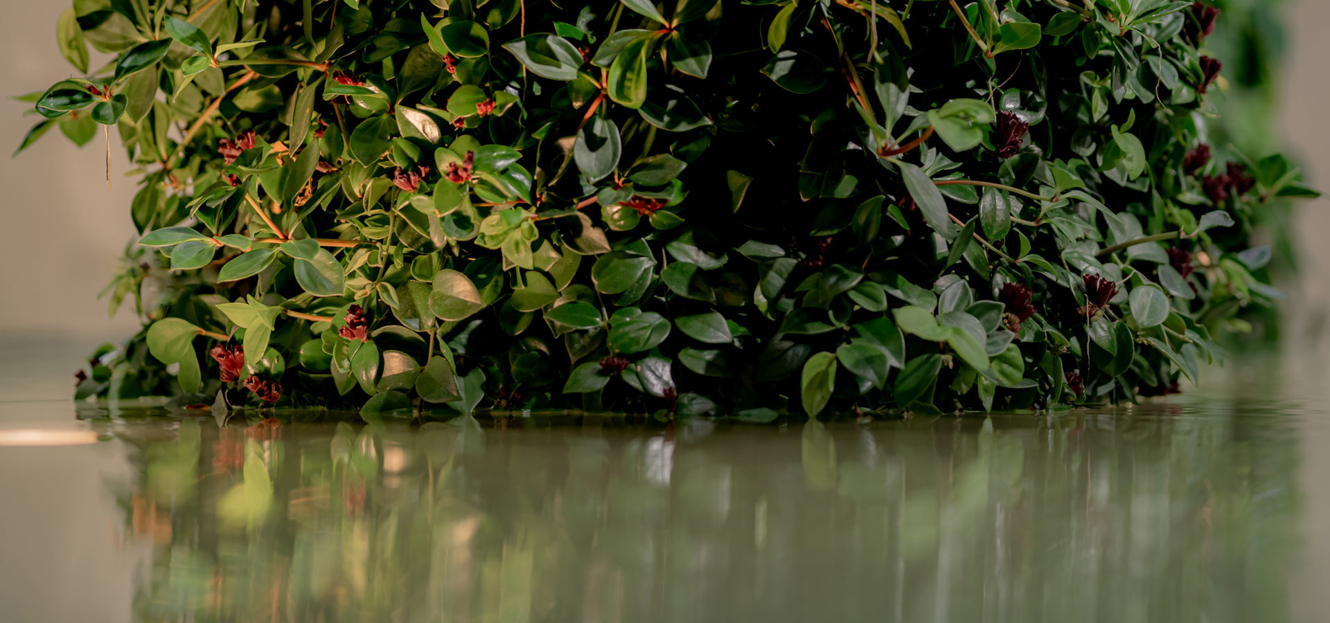 Gartenhof K�sters - Carolus Thermen